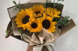 女神节文案暖心短句,绽放独特魅力，共享节日喜悦