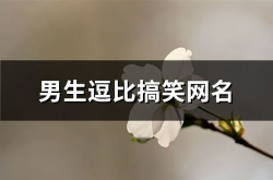 搞笑网名逗比,笑料横生的网络昵称盘点