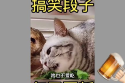 搞笑幽默小视频,搞笑幽默小视频集锦，欢乐无限