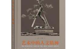 a最大但人文艺术,探索A级最大人文艺术的魅力与时代价值