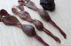 海狗鞭的功效与作用,补肾壮阳，养生保健的天然良药
