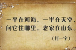 半硬半软(打一字),半硬半软材料探索之旅”