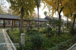 鲍沟图片,探寻自然与人文的交融之美