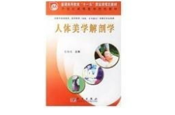 人体美学解剖学,探索形态与美的科学交融