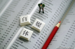 网红有道,揭秘网络红人的成功秘诀