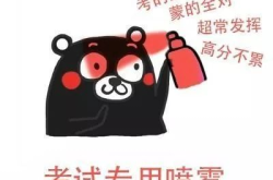 趣味表情包,网络社交的欢乐源泉